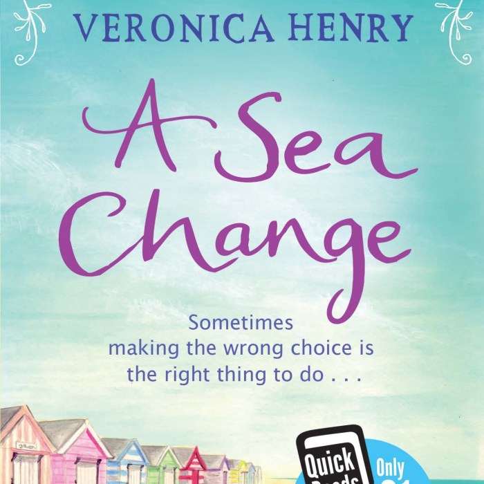 BBC Skillswise selects A Sea Change as Book of the Month